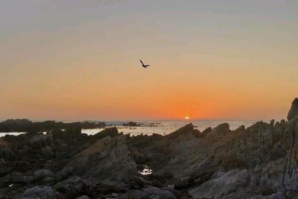 Hermanus Sea View Room 외부 사진